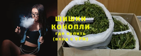 мдпв Бронницы
