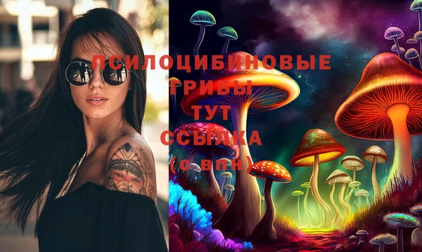 мдпв Бронницы