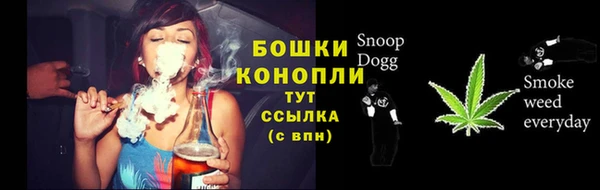 мдпв Бронницы