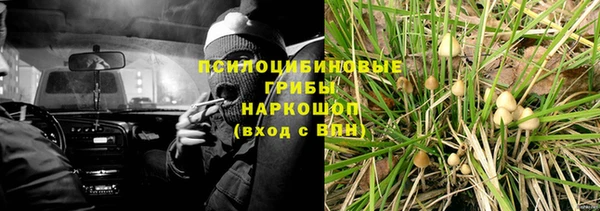 мдпв Бронницы