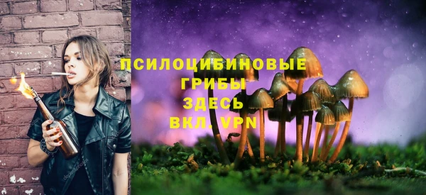 прущие крисы Бугульма
