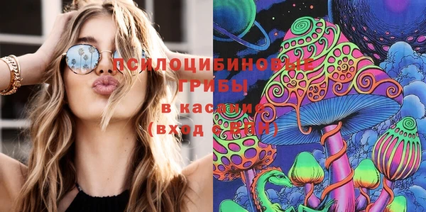 прущая мука Бородино
