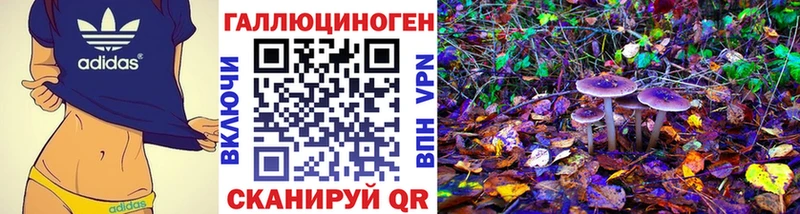 Галлюциногенные грибы Psilocybine cubensis  купить наркотики цена  Медногорск 